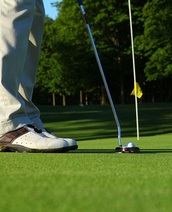 Detroit Golf Clubs & Courses Golf in Michigan