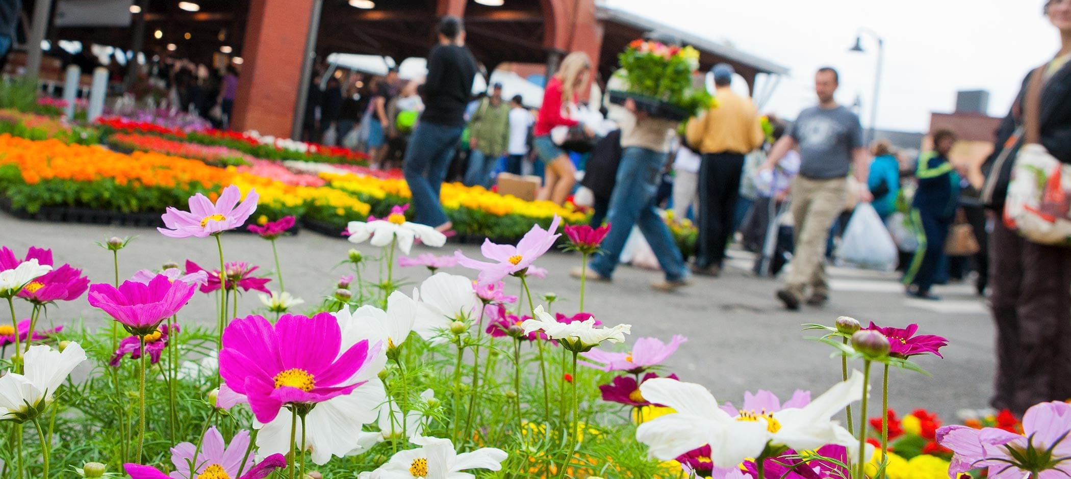 What Day Is Flower At Eastern Market Best Flower Site