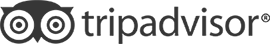Trip Advisor Logo