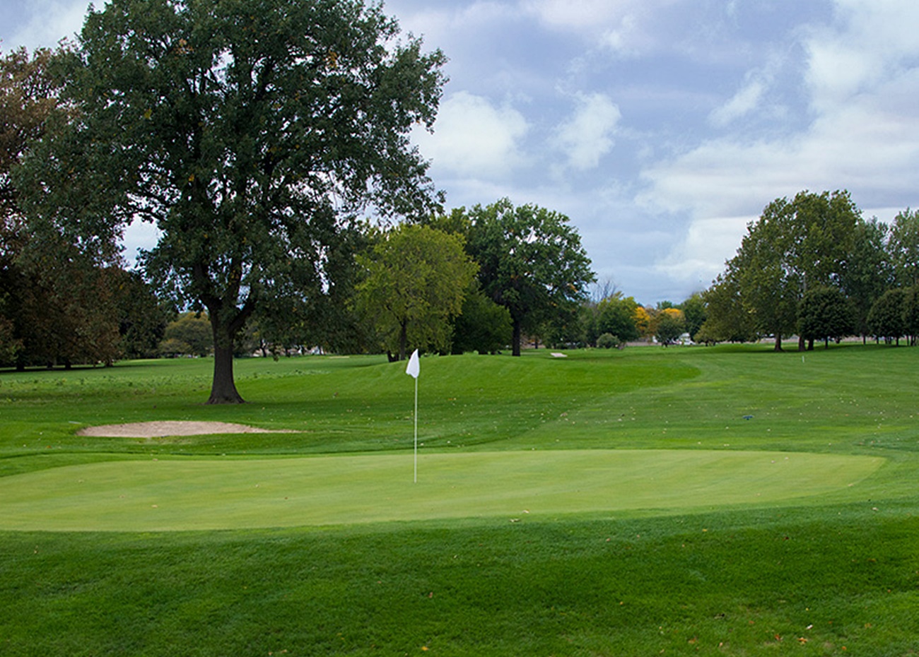 Chandler Park Golf Course | Detroit, Michigan 